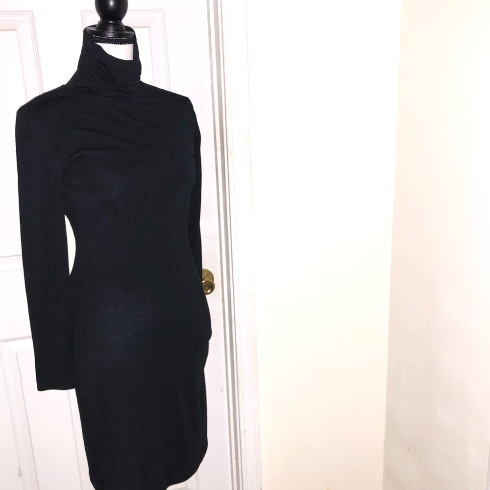 Banana Republic Turtle Neck Dress